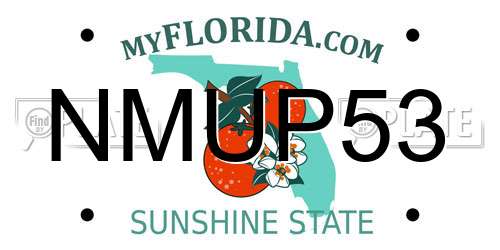 NMUP53 Florida License Plate