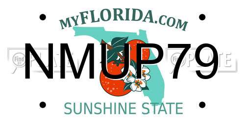 NMUP79 Florida License Plate