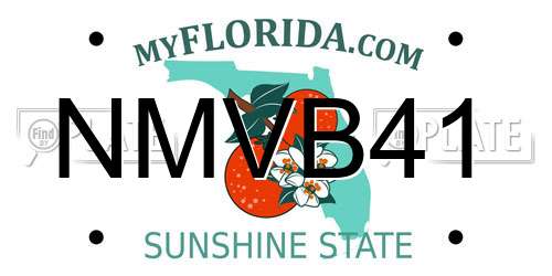 NMVB41 Florida License Plate