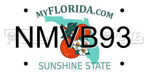 NMVB93 Florida License Plate