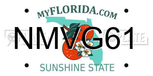NMVG61 Florida License Plate