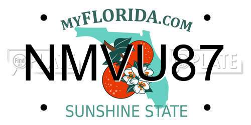 NMVU87 Florida License Plate