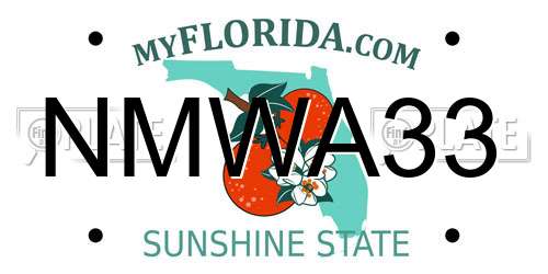 NMWA33 Florida License Plate