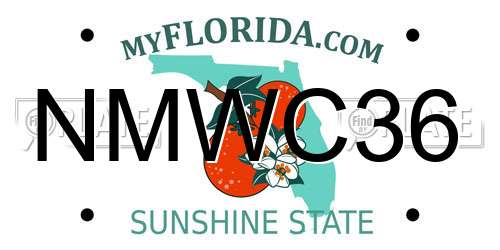 NMWC36 Florida License Plate