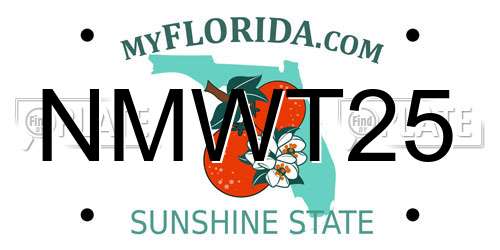 NMWT25 Florida License Plate