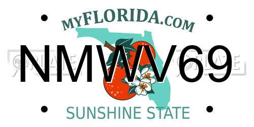 NMWV69 Florida License Plate