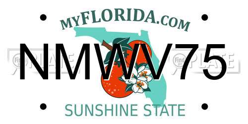 NMWV75 Florida License Plate