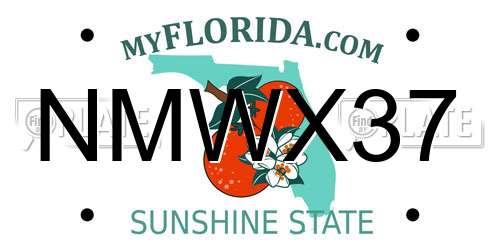 NMWX37 Florida License Plate