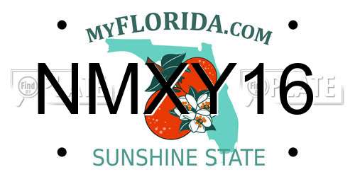 NMXY16 Florida License Plate