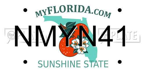 NMYN41 Florida License Plate