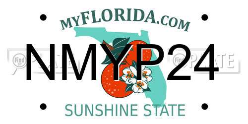 NMYP24 Florida License Plate