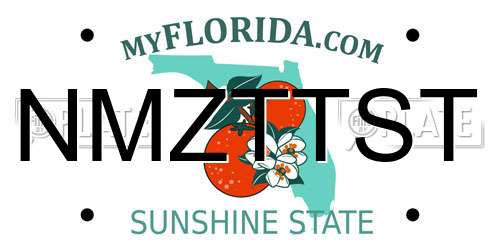 NMZTTST Florida License Plate