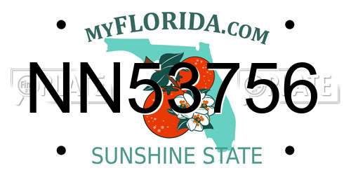 NN53756 Florida License Plate