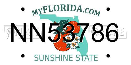 NN53786 Florida License Plate