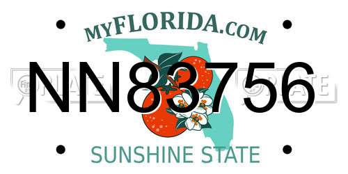 NN83756 Florida License Plate