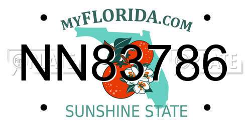 NN83786 Florida License Plate