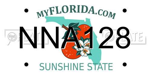 NNA128 Florida License Plate