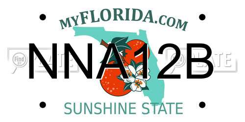NNA12B Florida License Plate