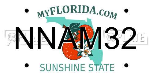 NNAM32 Florida License Plate