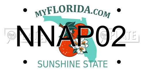 NNAP02 Florida License Plate