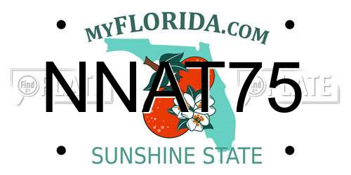 NNAT75 Florida License Plate