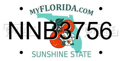 NNB3756 Florida License Plate