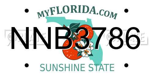 NNB3786 Florida License Plate