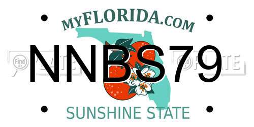 NNBS79 Florida License Plate