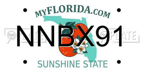 NNBX91 Florida License Plate