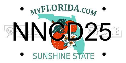 NNCD25 Florida License Plate