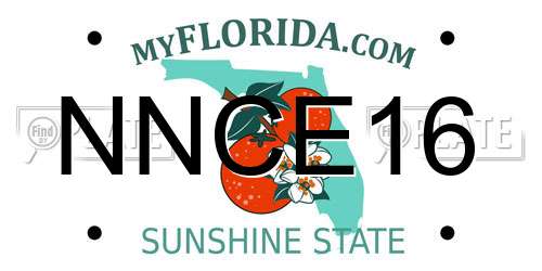 NNCE16 Florida License Plate