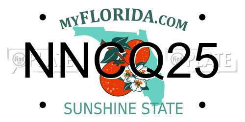 NNCQ25 Florida License Plate