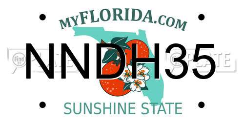 NNDH35 Florida License Plate