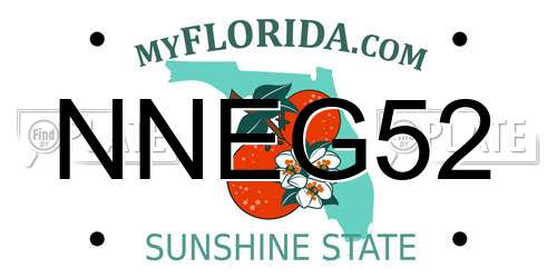 NNEG52 Florida License Plate
