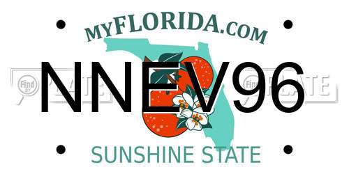 NNEV96 Florida License Plate