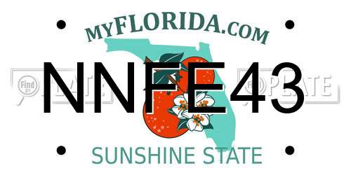 NNFE43 Florida License Plate