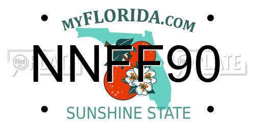 NNFF90 Florida License Plate