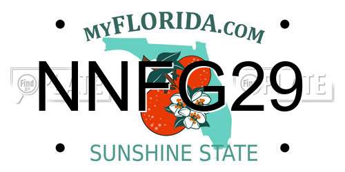 NNFG29 Florida License Plate