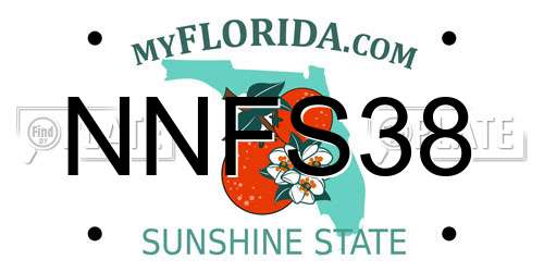 NNFS38 Florida License Plate