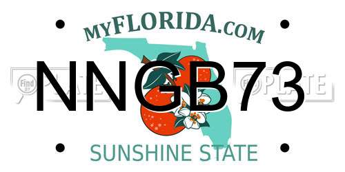 NNGB73 Florida License Plate