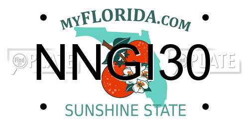 NNGI30 Florida License Plate