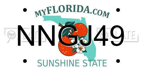 NNGJ49 Florida License Plate