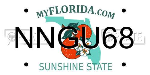 NNGU68 Florida License Plate