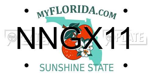NNGX11 Florida License Plate