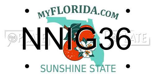 NNIG36 Florida License Plate