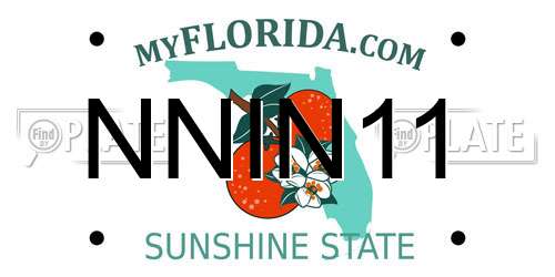 NNIN11 Florida License Plate