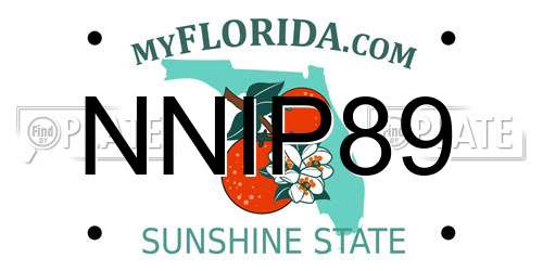 NNIP89 Florida License Plate
