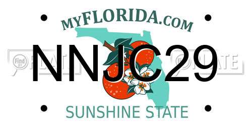 NNJC29 Florida License Plate