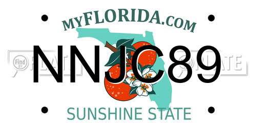 NNJC89 Florida License Plate
