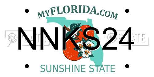 NNKS24 Florida License Plate